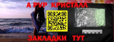 прущие грибы Долгопрудный