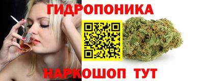 МДПВ Гудермес